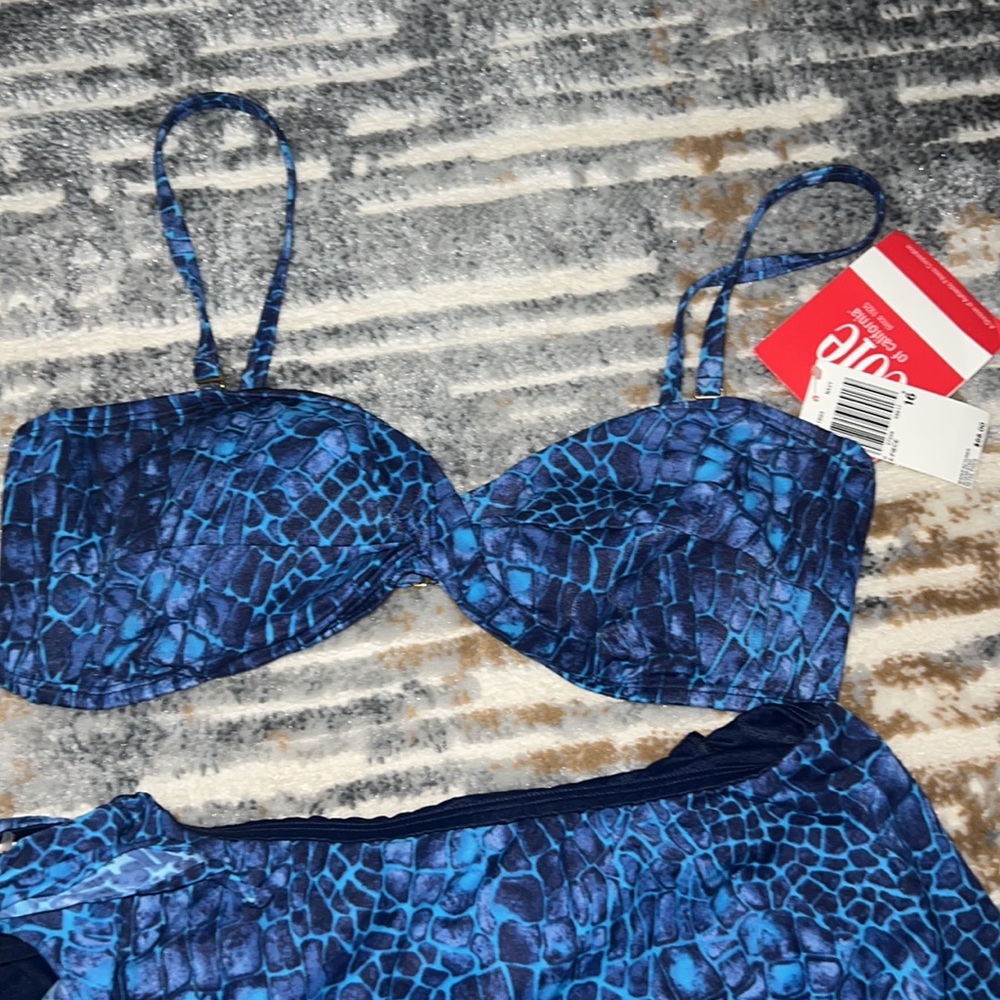 Plus Blue Bikini - Picture 2 of 4